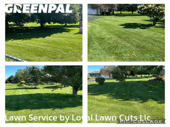 Grass Cutting nearby Vermilion, OH, 