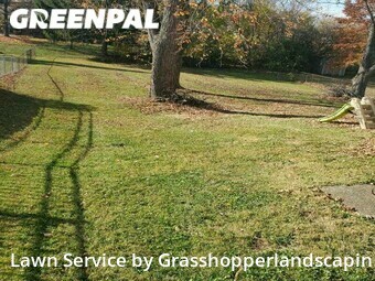 Lawn Service nearby Cincinnati, OH, 