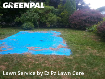Grass Cutting in Binghamton, 13901, Lawn Work by Ez Pz Lawn Care, work completed in Nov , 2025