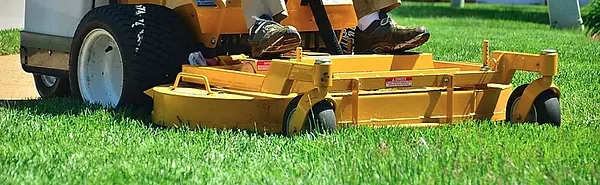 Thomas the LAWNMOWERMAN Photo 3