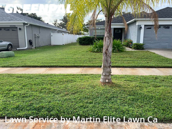 Lawn Mow nearby Wesley Chapel, FL, 
