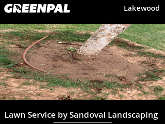 Grass Cut nearby Lubbock, TX, 