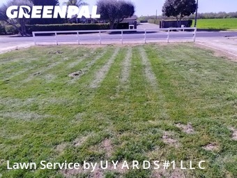 Lawn Care Service nearby Turlock, CA, 