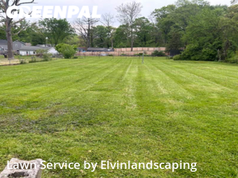 Lawn Mowing nearby Rosedale, MD, 