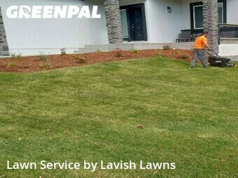 Lawn Cut nearby Colorado Springs, CO, 
