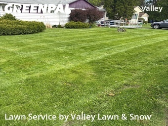 Yard Cutting nearby Syracuse, NY, 