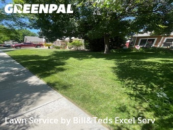 Lawn Mow nearby Kerman, CA, 