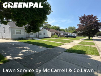 Lawn Mow nearby Harper Woods, MI, 