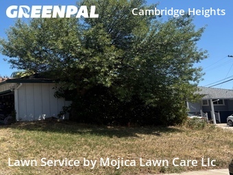 Lawn Mowing nearby Citrus Heights, CA, 