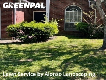 Lawn Cutin Antioch,37013,Lawn Maintenance by Alonso Landscaping, work completed in Jun , 2026