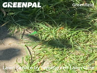 Grass Cut nearby Pittsburgh, PA, 