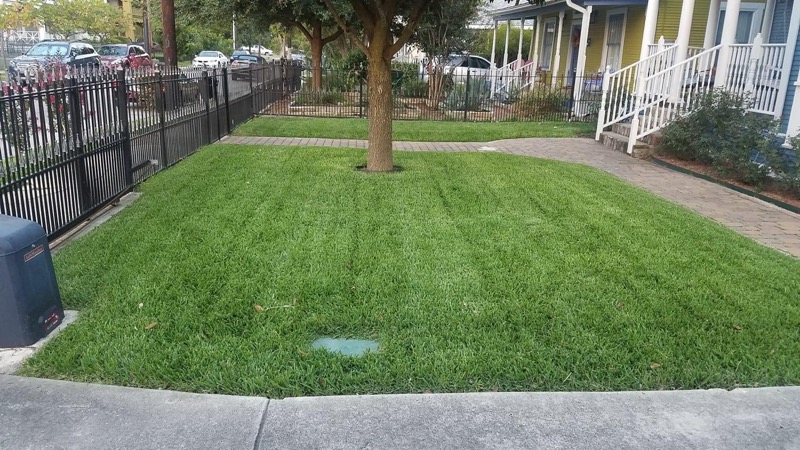 Lawn Care Service in San Antonio, TX, 78214