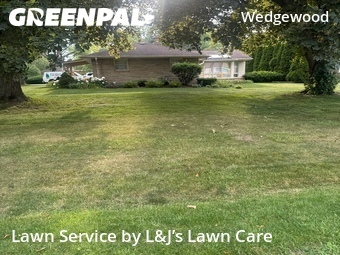 Lawn Maintenance nearby Brookfield, WI, 