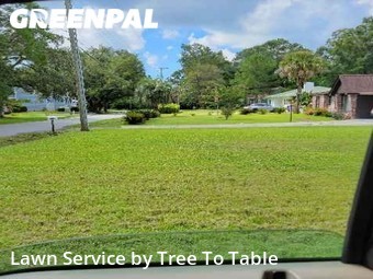 Yard Cutting nearby Charleston, SC, 