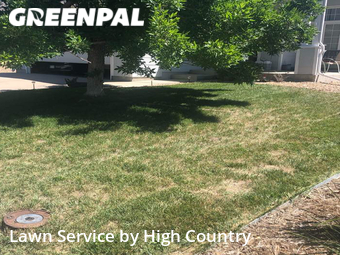 Yard Mowing nearby Thornton, CO, 