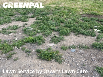 Lawn Service nearby Selah, WA, 