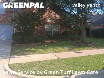 Lawn Cuttingin Irving,75063,Lawn Care Service by Green Turf Lawn Care, work completed in Nov , 2025