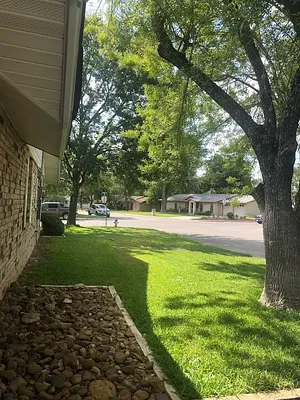 A -1 Lawn Mower Repair Photo 6