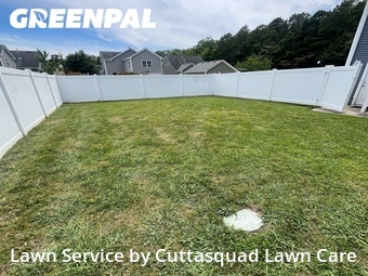 Yard Cutting nearby Virginia Beach, VA, 
