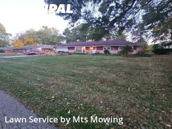Grass Care in Rockford, 61101, Weekly Mowing by Mts Mowing , work completed in Nov , 2025