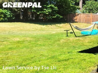 Lawn mowed in Renton, 98058