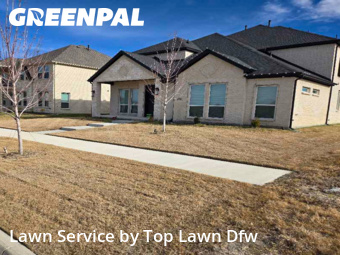 Affordable Landscaping Maintenance Services In Frisco,75036,Landscaping Renovation by Top Lawn Dfw, work completed in Jan , 2026