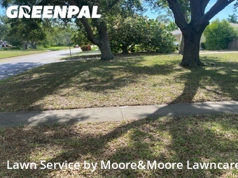 Lawn Cutting nearby St. Petersburg, FL, 