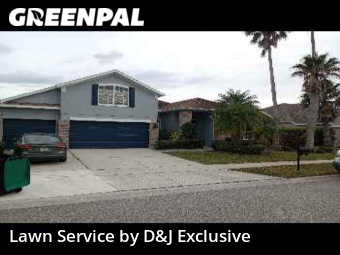 Grass Cut nearby Orlando, FL, 