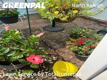 Lawn Mowing nearby Raleigh, NC, 