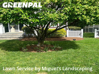 Yard Mowing nearby Annapolis, MD, 