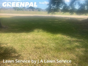 Lawn Maintenancein Pasadena,77504,Lawn Cutting by J.A Lawn Service, work completed in Nov , 2025