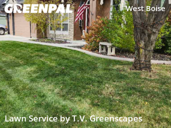 Grass Cutting nearby Boise, ID, 