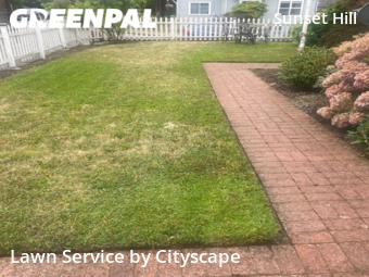 Yard Mowing nearby Seattle, WA, 