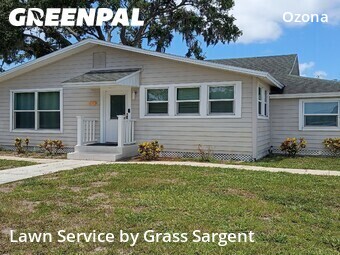 Lawn Mow nearby Palm Harbor, FL, 
