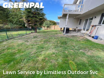 Yard Services in Des Moines, 98198, Weed Trimming by Limitless Outdoor Svc, work completed in Nov , 2025