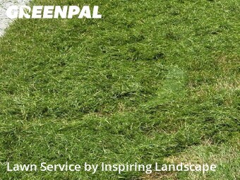 Lawn Mowin Centennial,80112,Lawn Mow by Inspiring Landscape, work completed in Jun , 2026