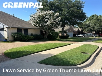 Grass Cut nearby Mc Kinney, TX, 
