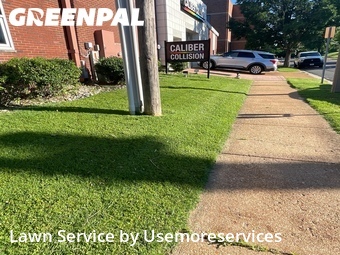 Grass Cut nearby St. Louis, MO, 