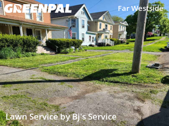 Grass Cut nearby Syracuse, NY, 