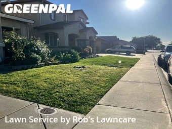 Grass Cut nearby Elk Grove, CA, 