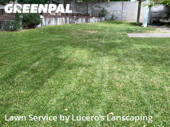 Lawn Mow nearby Albuquerque, NM, 