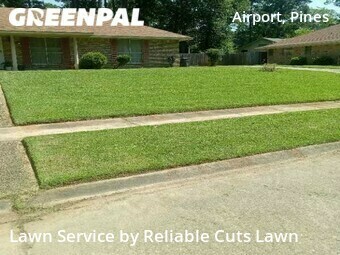 Grass Cut nearby Shreveport, LA, 
