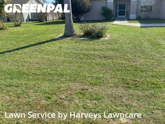 Lawn Cutting nearby Spring Hill, FL, 