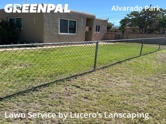Grass Cut nearby Albuquerque, NM, 