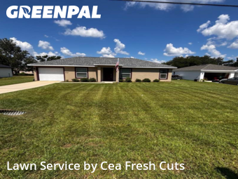Lawn Cutting nearby Ocala, FL, 