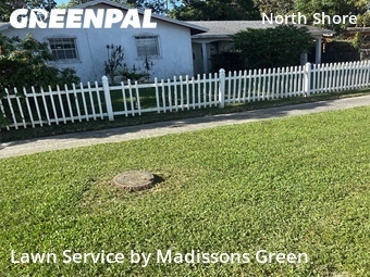 Grass Cutting nearby West Palm Beach, FL, 