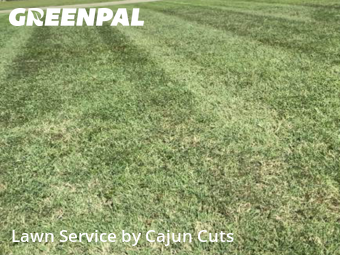 Lawn Cut nearby Murfreesboro, TN, 