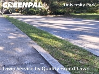 Lawn Cut nearby Gainesville, FL, 