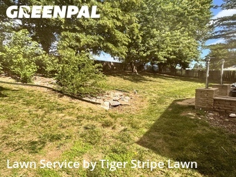 Grass Cut nearby Papillion, NE, 