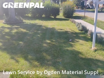 Grass Cutting nearby Worth, IL, 